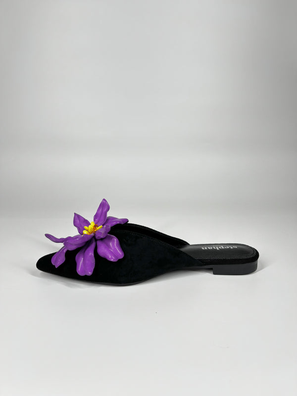 Mule a Punta in camoscio - Nero